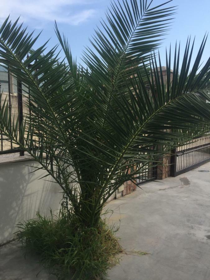 דירות Casa Vacanze פוצ'ה ואראנו מראה חיצוני תמונה